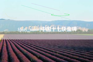 营口中国十七块金牌