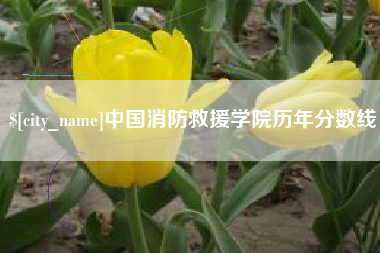 营口中国消防救援学院历年分数线