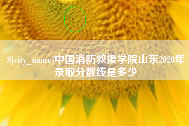营口中国消防救援学院山东2020年录取分数线是多少