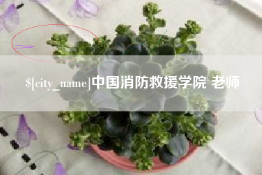 营口中国消防救援学院 老师