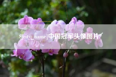 营口中国冠军头像图片