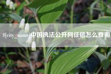 营口中国执法公开网征信怎么查询