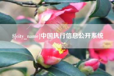 营口中国执行信息公开系统