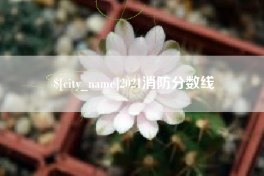 营口2021消防分数线
