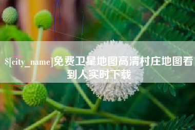 营口免费卫星地图高清村庄地图看到人实时下载