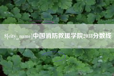 营口中国消防救援学院2018分数线