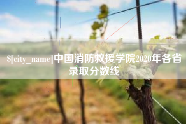 营口中国消防救援学院2020年各省录取分数线