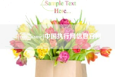 营口中国执行网信息官网