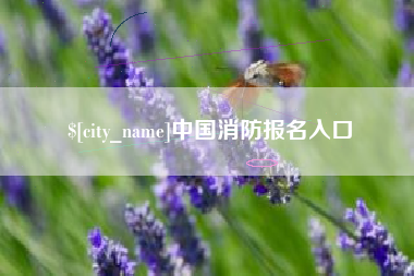 营口中国消防报名入口