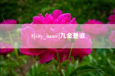营口九金是谁