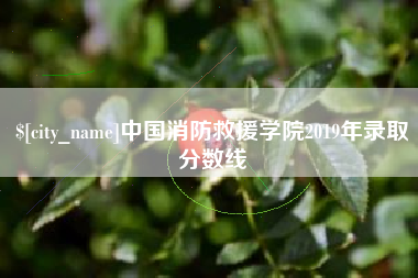 营口中国消防救援学院2019年录取分数线
