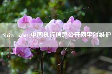 营口中国执行信息公开网平台维护
