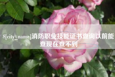 营口消防职业技能证书查询以前能查现在查不到