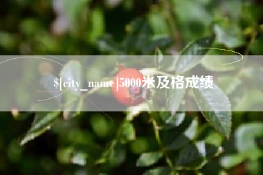 营口5000米及格成绩