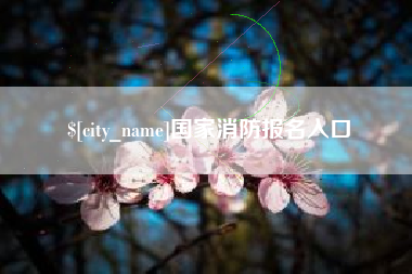 营口国家消防报名入口