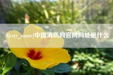 营口中国消防网官网网址是什么