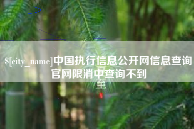 营口中国执行信息公开网信息查询官网限消中查询不到
