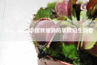 营口中国救援消防学院招生简章