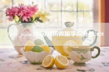 营口中国消防救援学院分数2020