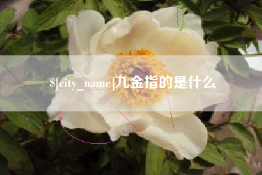 营口九金指的是什么