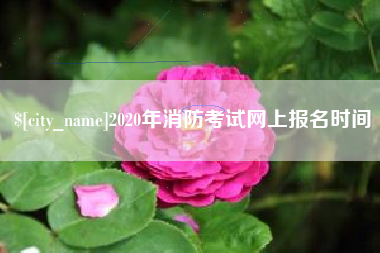 营口2020年消防考试网上报名时间
