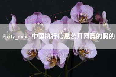 营口中国执行信息公开网真的假的