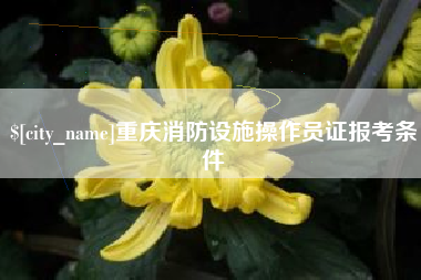 营口重庆消防设施操作员证报考条件