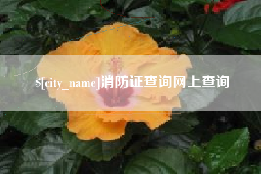 营口消防证查询网上查询