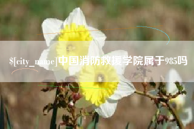 营口中国消防救援学院属于985吗