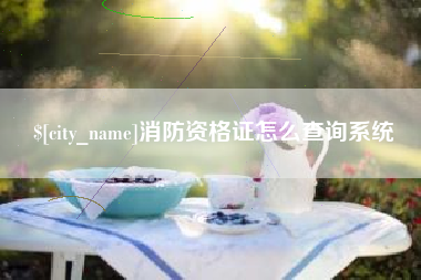 营口消防资格证怎么查询系统