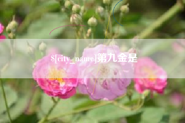 营口第九金是