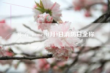 营口11月9日消防日全称