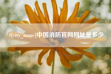 营口中国消防官网网址是多少