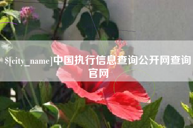 营口中国执行信息查询公开网查询官网