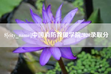 营口中国消防救援学院2020录取分