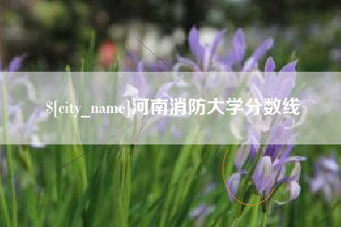 营口河南消防大学分数线