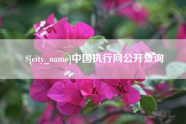 营口中国执行网公开查询