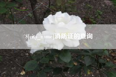 营口消防证的查询