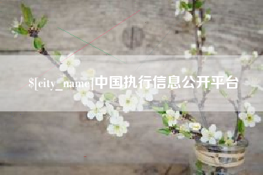营口中国执行信息公开平台
