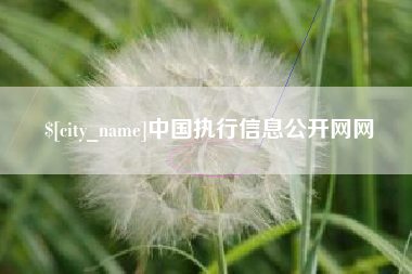 营口中国执行信息公开网网