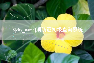 营口消防证初级查询系统