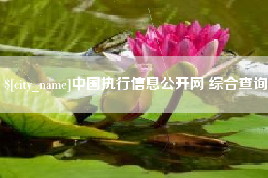营口中国执行信息公开网 综合查询