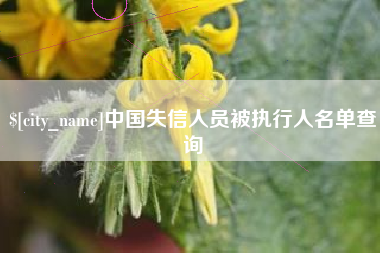 营口中国失信人员被执行人名单查询