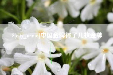 营口中国金牌得了几枚金牌
