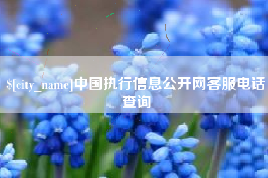 营口中国执行信息公开网客服电话查询