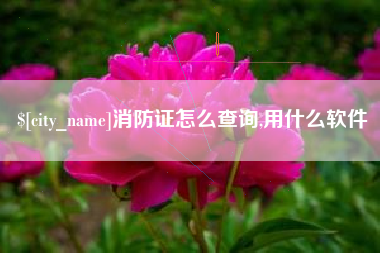 营口消防证怎么查询,用什么软件