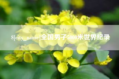 营口全国男子5000米世界纪录