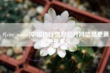 营口中国执行信息公开网信息更新时间是多久