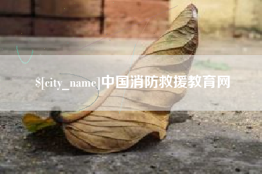 营口中国消防救援教育网