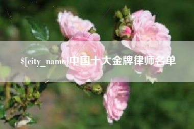 营口中国十大金牌律师名单